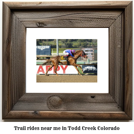 trail rides near me in Todd Creek, Colorado